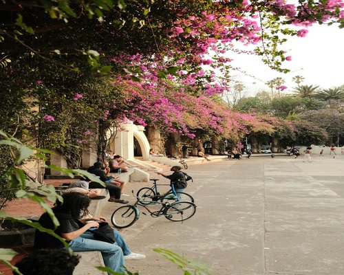 Person taking a gentle walk in a Mexican urban park
